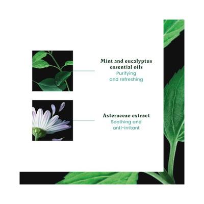 Rene Furterer Astera Fresh Soothing Freshness Concentrate 50 ml - Hair Treatment