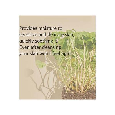 Mixsoon Centella Cleansing Foam 150 ml - Face Wash & Cleansers