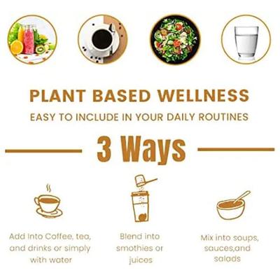 Rooted Active Naturals Oyster Mushroom Extract Powder 60 gm - Pure Herbs