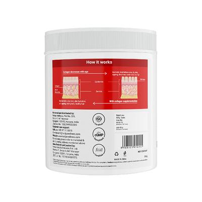 Nudge Wellness Collagen Peptide Hydrolyzed Collagen Peptide Powder Sourced From France Blueberry Flavour 210 gm - Hair & Skin