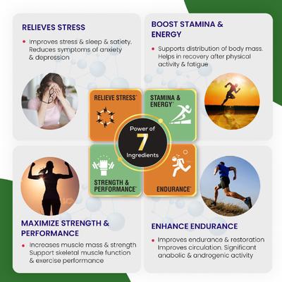 Jubilant Nutrihance Vitaease Gold Ashwagandha Tablets 10's - Sexual Care