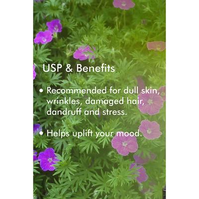 Organic Harvest Geranium Essential Oil 10 ml - Essential Oils