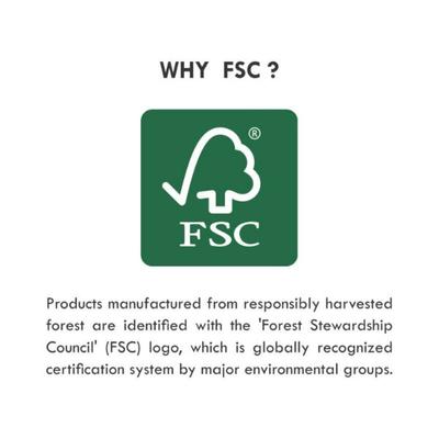 Tulips Paper Stick Color Cotton Buds Paper Box Zero Plastic 100's - Cotton Balls