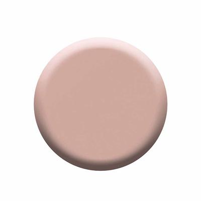 Colorbar Lux Nail Lacquer Cbn805 12 Ml - Nail Polish