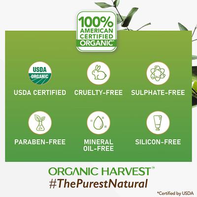 Organic Harvest Luxurious Bathing Bar - Mint, Mint Soap Bar for Gentle Cleansing, Mint Soap Bar 125 gm - Soaps