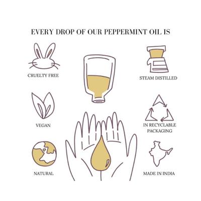 Essentia Extracts Peppermint Essential Oil 15 ml - Essential Oils