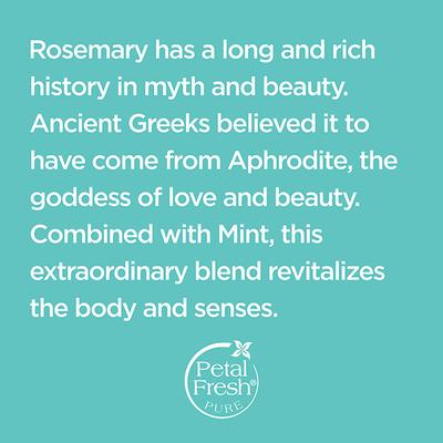 Petal Fresh Energizing Rosemary and Mint Bath and Shower Gel 475 ml - Shower Gels & Body Wash