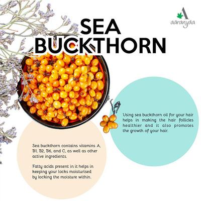 Aaranyaa Sun Block Lotion SPF 40 100 gm - Face Sunscreen