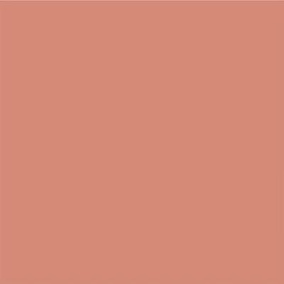 Pac Spotlight Blush (Screenplay) 10.6 gm - Blushes
