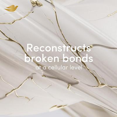 Dove Peptide Bond Strength Bi-phasic Oil+Serum 50 ml - Hair Serums