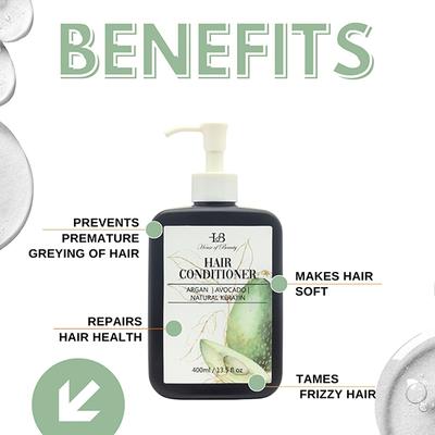 House of Beauty Hair Conditioner For Frizzy Hair Gives Moisture & Shine with Argan Oil 400ml - Conditioners
