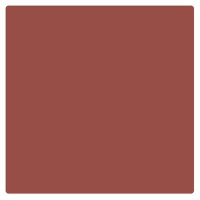 Bonjour Paris Just Matte Lip Crayon - Nude Brown 3.2 gm - Lip Crayons