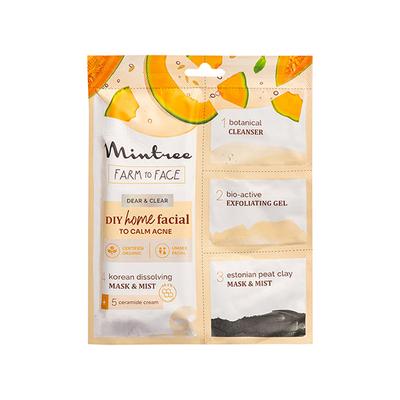 Mintree Certified Organic 5-Step DIY Collagen Home Facial (Muskmelon) To Calm Acne 45 gm - Sheet Masks