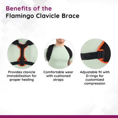 Flamingo Clavicle Brace (OC - 2018) (M) - Black - Back/Abdomen Supports