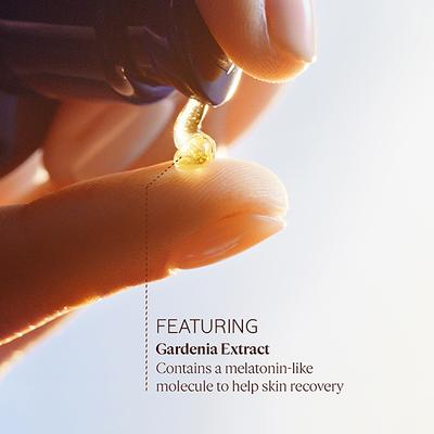 L'Occitane Immortelle Reset Anti-Aging Serum Mini 5 ml - Face Serum