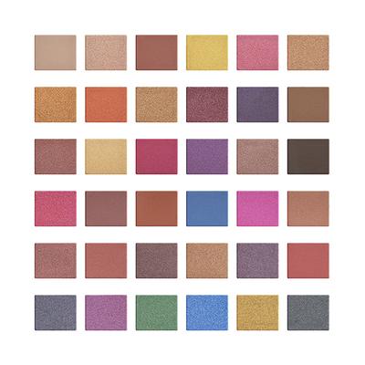 Swiss Beauty Winky 36 Colors Eyeshadow Palette - (Shade-2) 40 gm - Eyeshadow, Bases & Primers