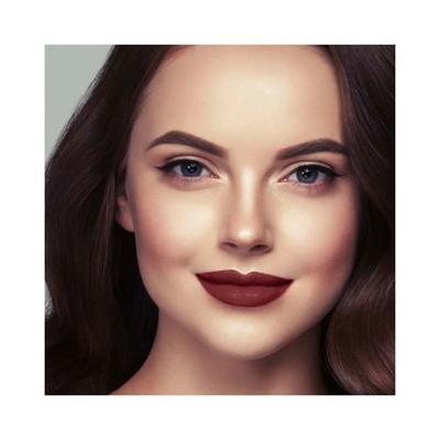 Lotus Makeup Ecostay Natural Matte Lip Color Rose Nm07 4.2 gm - Lipsticks