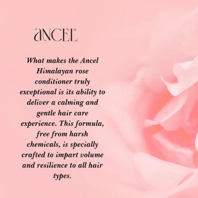 Ancel Himalayan Rose Conditioner 300 ml - Conditioners