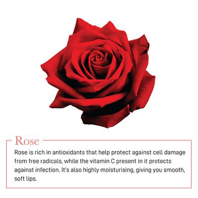 Manish Malhotra Beauty By MyGlamm Rose Lip Moisturising Gel-30gm - Lip Scrubs