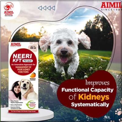 AIMIL Neeri KFT PET Liquid 200 ml - Pet Healthcare