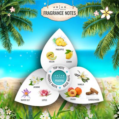 Arias by Lara Dutta Perfume Body Spray - Peaceful 150 ml - Deodorants/Roll-Ons