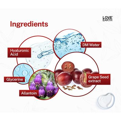 Love Earth Hyaluronic Acid Toner with Grape seed extract and Hyaluronic Acid 100 ml - Face Mists
