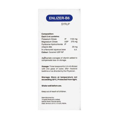 ENLIZER B6 Delicious Pineapple Flavour Oral Solution 100ml - Kidney Disease/Stones-Oth