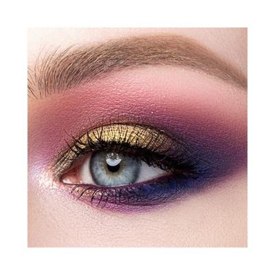 Swiss Beauty 12 Color Ultra Professional Eyeshadows - (Shade-2) 10 gm - Eyeshadow, Bases & Primers