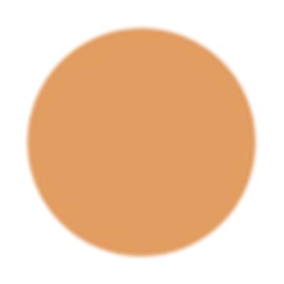 PAC Spotlight Compact Powder 05 Almond 8 gm - Compact Powder