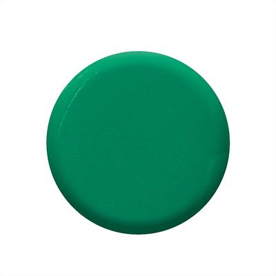 Colorbar Green Fling - (960) 12 ml - Nail Polish
