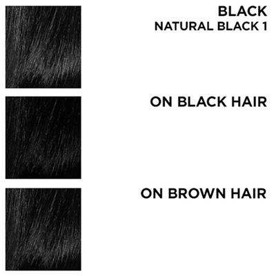 BBlunt Salon Secret High Shine creme Hair Colour Natural Black 108 ml - Crème