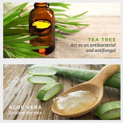 Pee Safe Natural Intimate Wipes for Women Tea Tree & Lactic Acid ( Pack of 10) 1's - Intimate Care