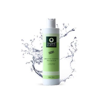 Organic Harvest Orgadyne Anti-Dandruff Shampoo 225 gm - Shampoos