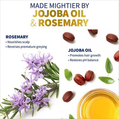 St.Botanica Moroccan Argan Hair Shampoo 300 ml - Shampoos