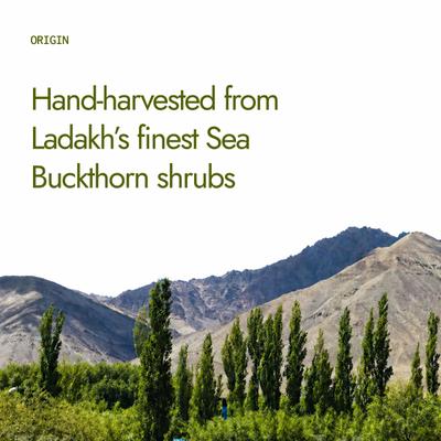 Kapiva Sea Buckthorn Juice 500 ml - Personal Care (Ayush)