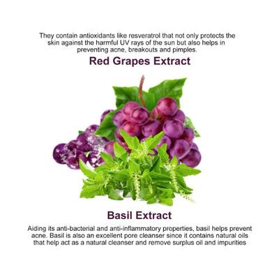 Astaberry Wine Face Wash 100 ml - Face Washes