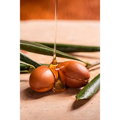 OGX Extra Strength Hydrate & Revive Argan Oil Of Morocco Shampoo 385 ml - Shampoos