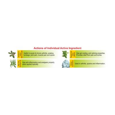 Allen Paintox Gel 30 gm (Pack of 2) 1's - Personal Care (Ayush)
