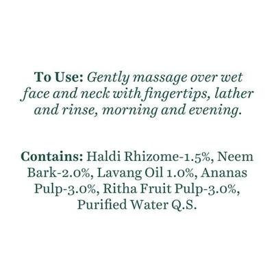 Biotique Pineapple Oil Control Foaming Face Cleanser for Normal to Oily Skin 120 ml - Face Wash & Cleansers