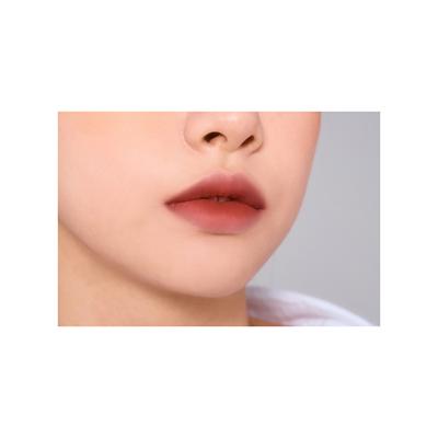 Clio Chiffon Blur Tint 004 Allday Rose 3.1 gm - Lip Stains & Tints
