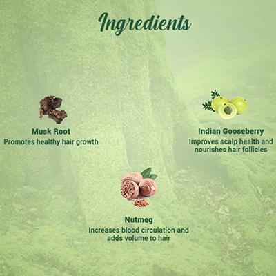 Biotique Bio Musk Root Fresh Growth Nourishing Treatment Pack 230 gm - Face Creams