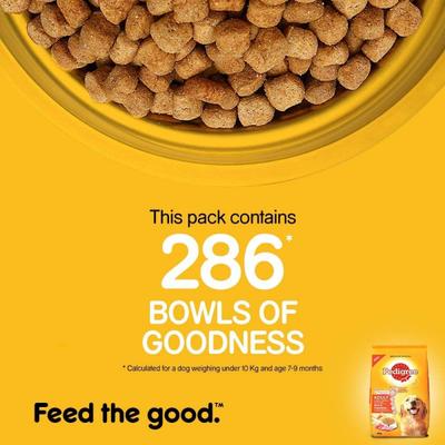 Pedigree Adult Meat & Rice 20000 gm - Petfood