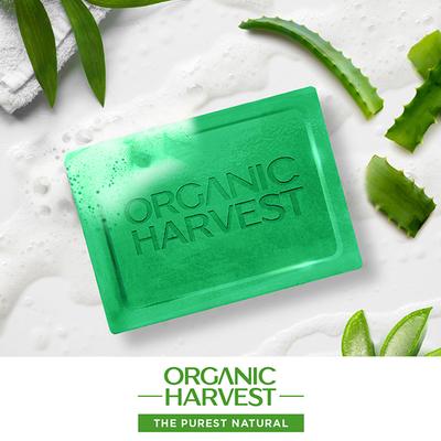Organic Harvest Luxurious Bathing Bar - Aloe Vera Soap for Soft Skin, Aloe Vera Bathing Soap 125 gm - Soaps
