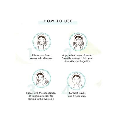 mCaffeine Naked Detox Green Tea with Vitamin C 72 Hr Hydration Face Serum for All Skin Types 40ml - Face Serum