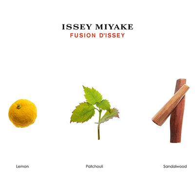 Issey Miyake Fusion d Issey EDT 100 ml - Men Perfumes (Edt/Edp)
