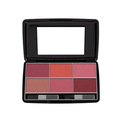 Miss Claire Blusher Kit 3660-B- 4 24 Gm - Blushes