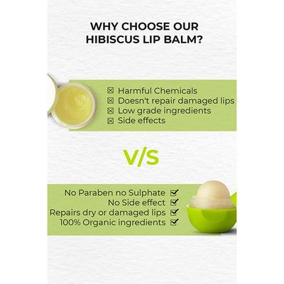 Organic Harvest Moisturizing Green Apple Lip Balm 8gm - Lip Balms