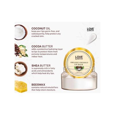 Love Earth Coconut Lip Balm for Dry & Chapped Lips, An Ayurvedic Lip Moisturizer with Vitamin E 10 gm - Lip Balms
