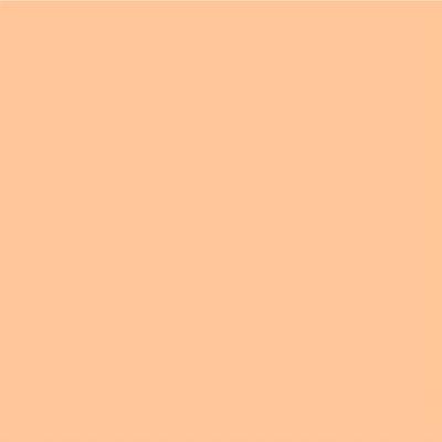 Pac Spotlight Liquid Foundation (Southern Beauty) 40 ml - Foundation