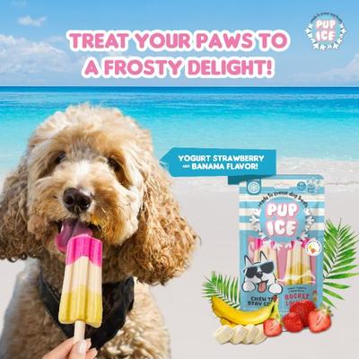 Pup Ice Rocket Lollies Yoghurt Strawberry & Banana Flavour 2's - Petfood